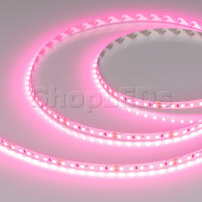 Лента RT-A120-8mm 24V Pink (9.6 W/m, IP20, 2835, 5m) (Arlight, -)